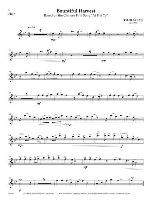 Accessible Solo Repertoire for Flute